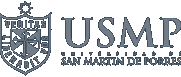 Universidad San Martín de Porres